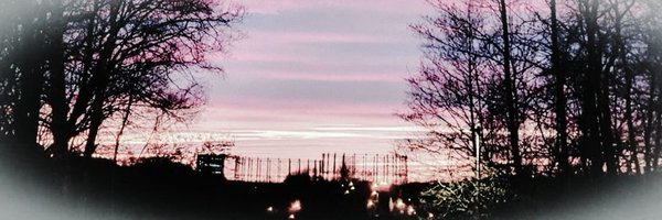 judelyp Profile Banner