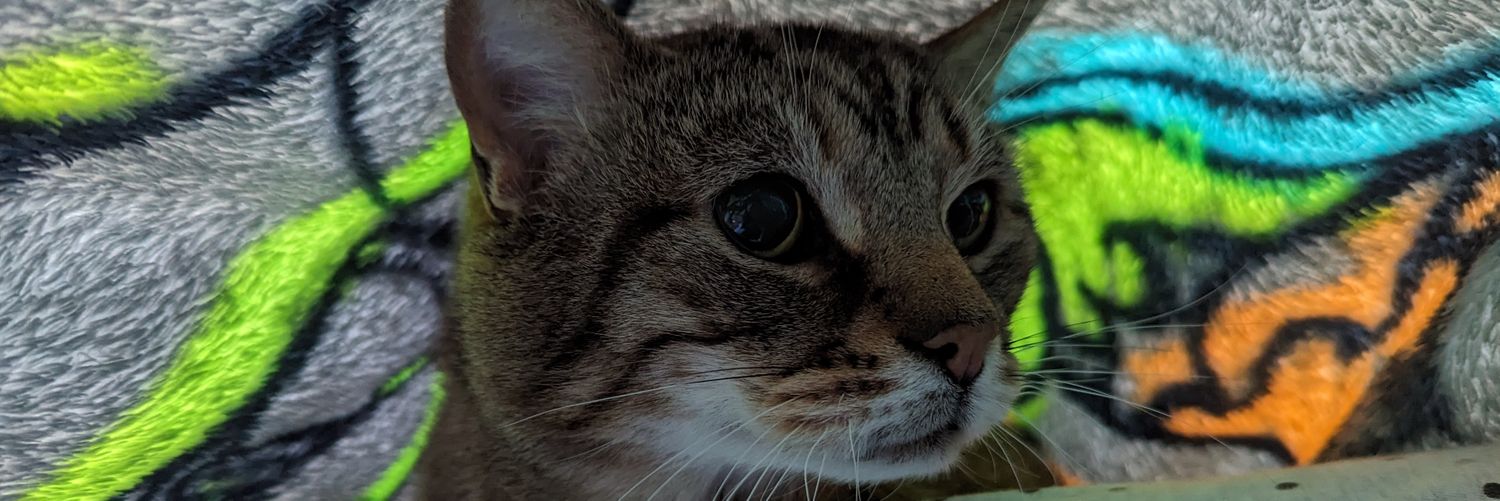 aletheia7's profile banner image