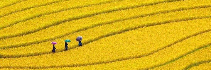 cinyom's profile banner image