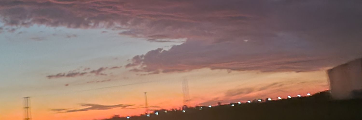 liviarangel3's profile banner image
