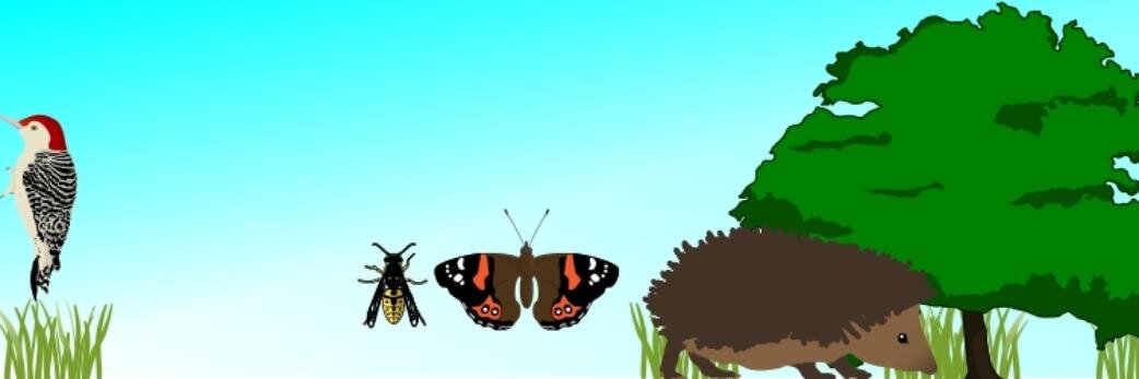 UKWildlife's profile banner image