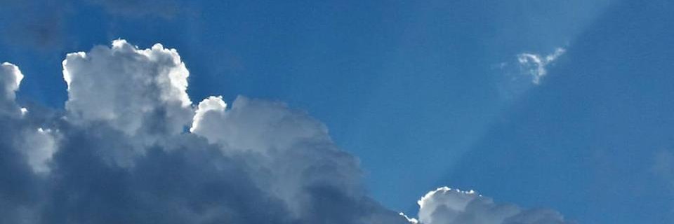 Tina_Shearman's profile banner image