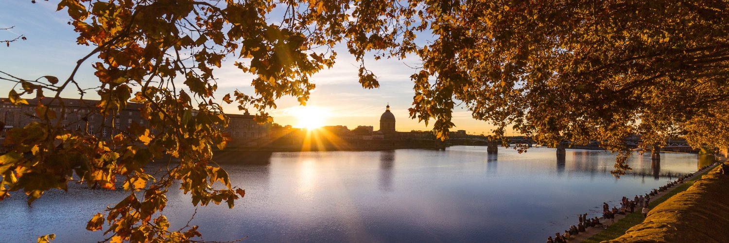 Julie Albenque  banner