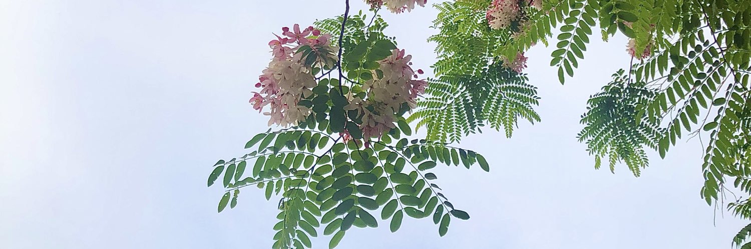 Fo0oz1234's profile banner image