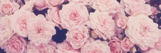 _emilys's profile banner image