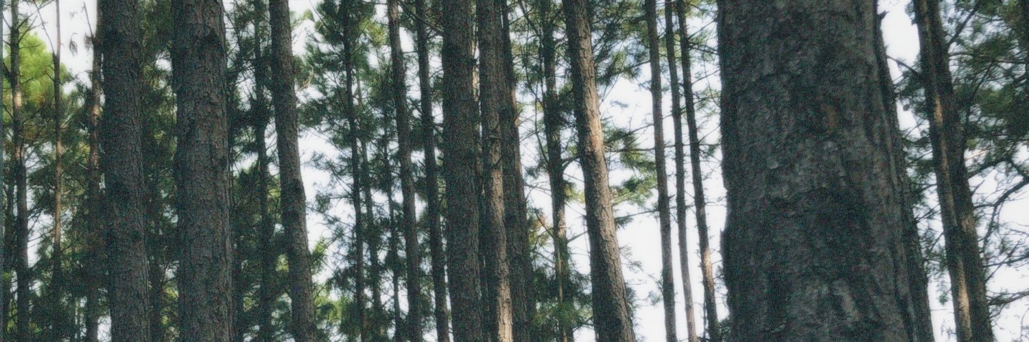 ariolikarol's profile banner image
