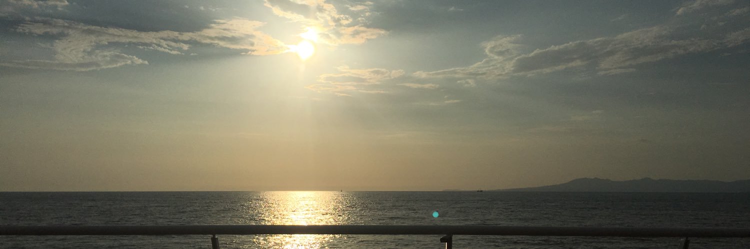 Susan Barrett banner