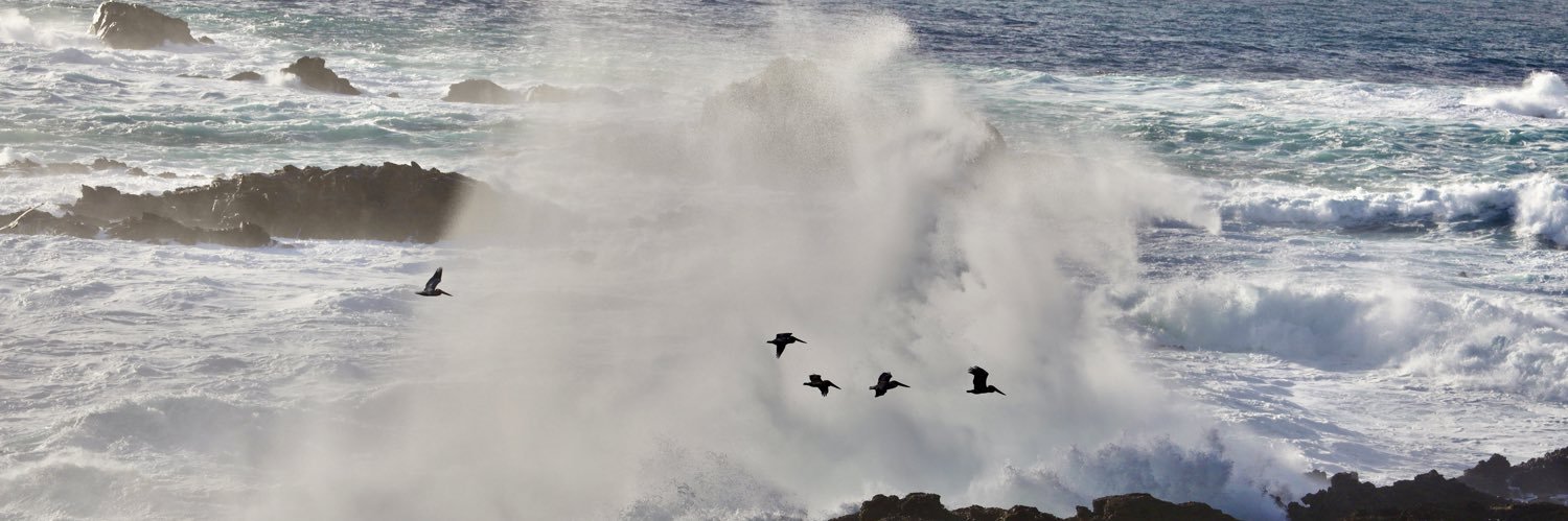 vng77777's profile banner image