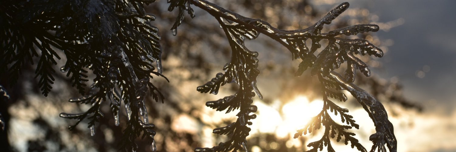 Agatha_Panek's profile banner image