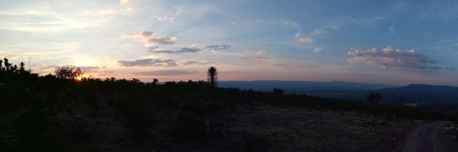 alextria's profile banner image