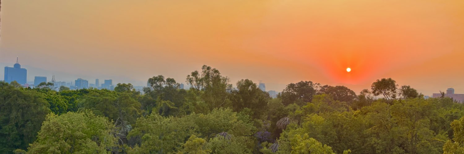 Leo Battling (Joy Boy)✨ banner