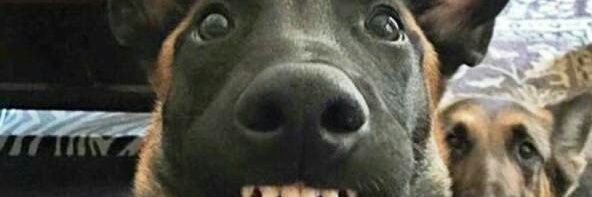 Cosijoeza's profile banner image