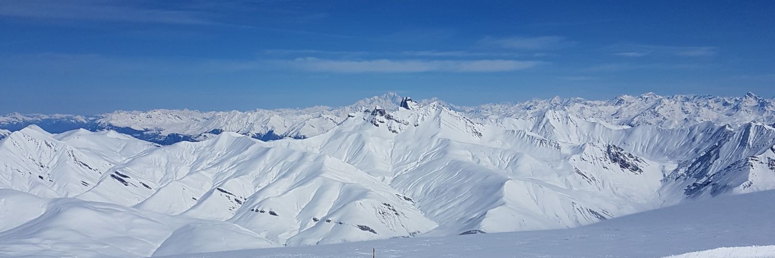 Cuillandre1's profile banner image