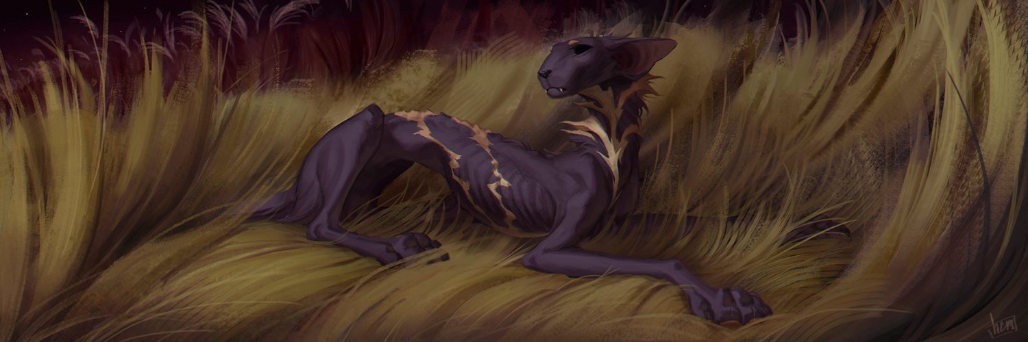 maohard's profile banner image