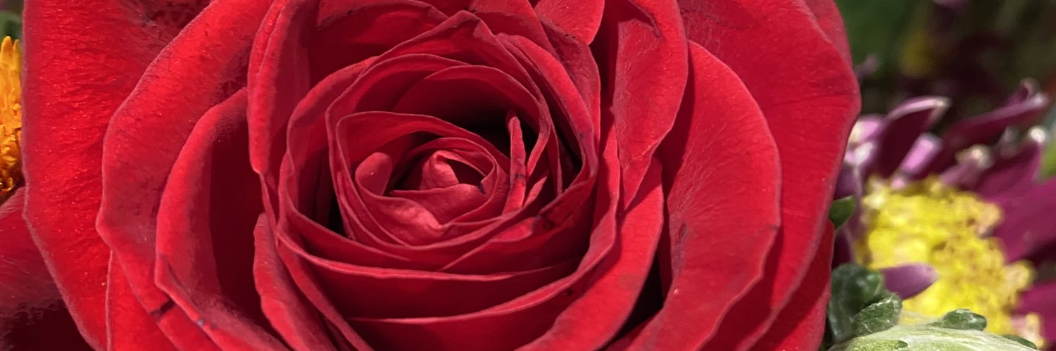 myfavclassics's profile banner image