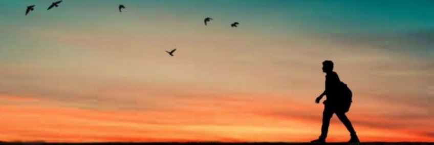 Momoo__s's profile banner image