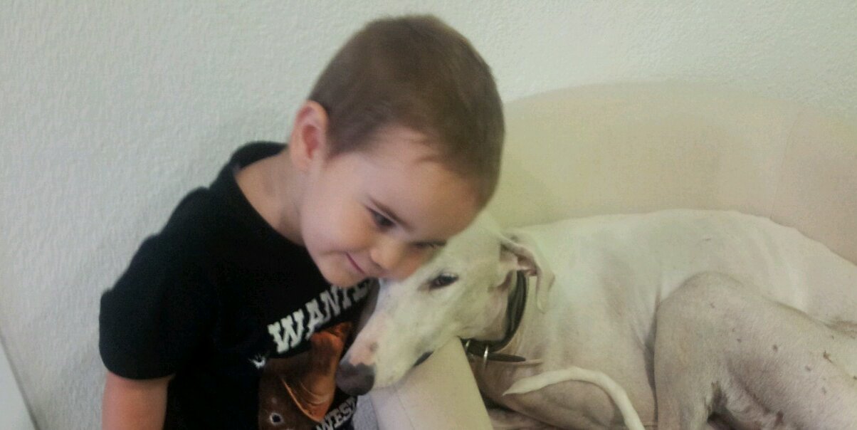 proyectogalgo's profile banner image