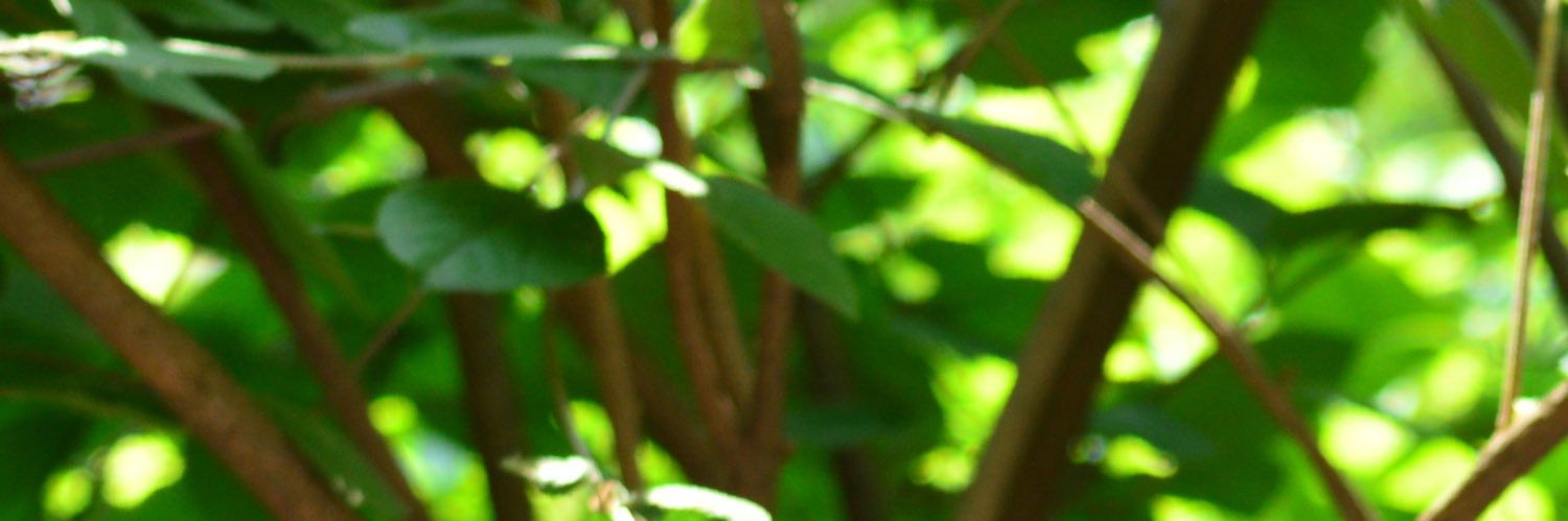 andregstm's profile banner image