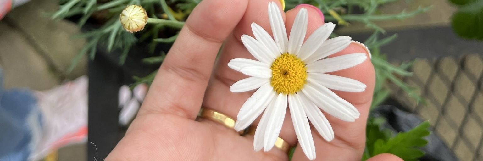 MariaJ224's profile banner image