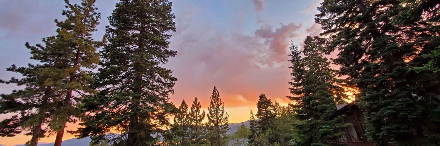 Luisa Fernanda banner