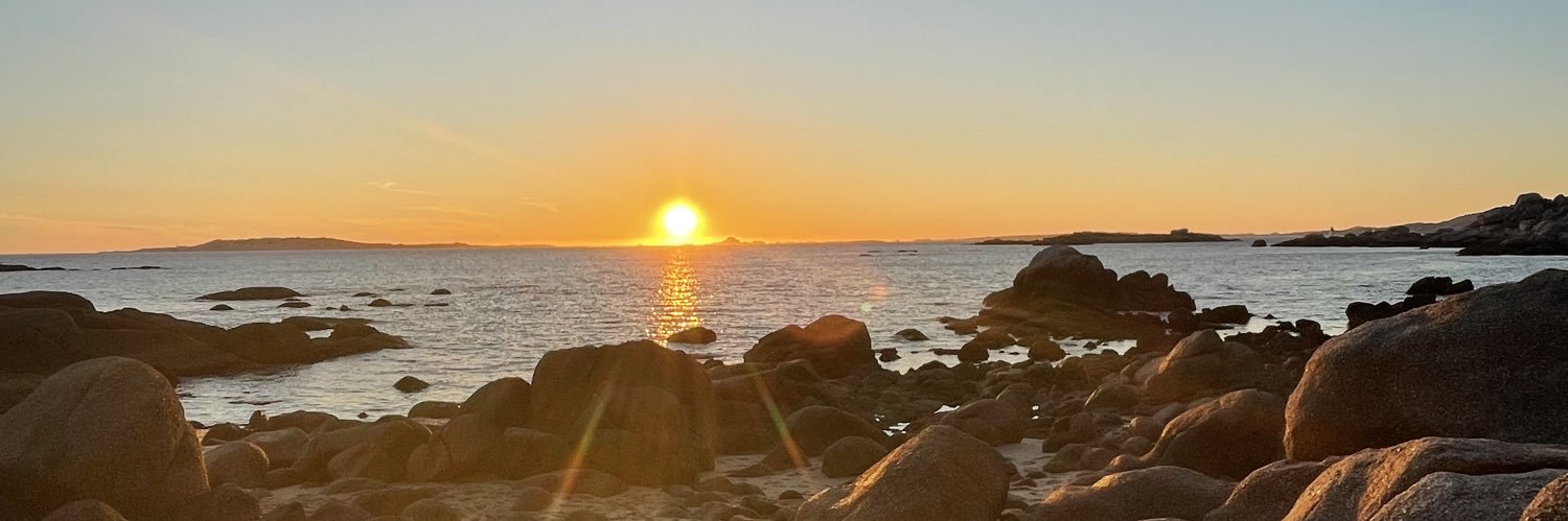 мαrтαridαsα. banner