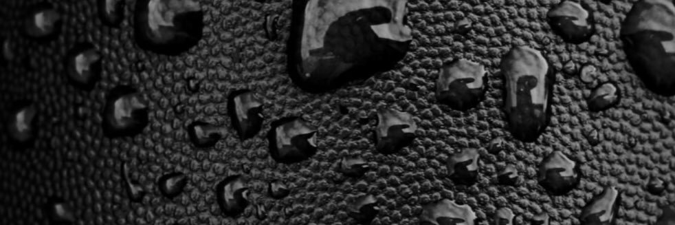 Laurent Frassati banner