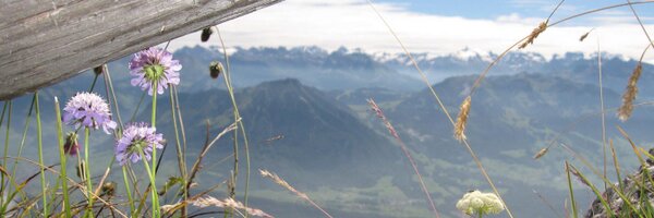 Ashley_VDP Profile Banner