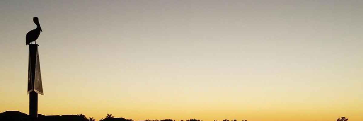 ChrisWarren67's profile banner image