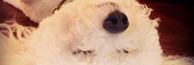 AmanderCabes's profile banner image