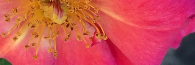 CarolineGaskin's profile banner image