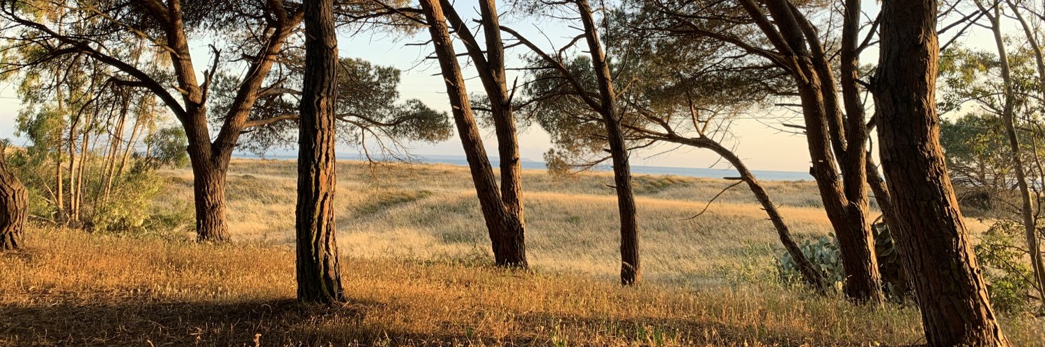 José Biosca  banner