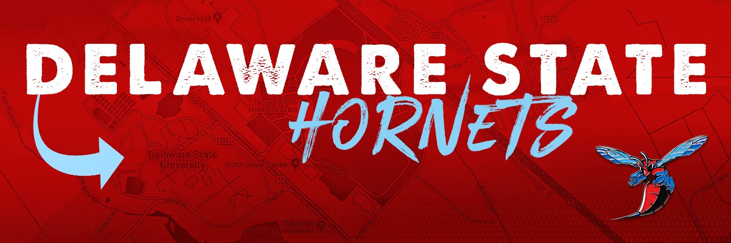 DSUHornets's profile banner image