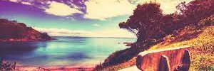saraenco's profile banner image