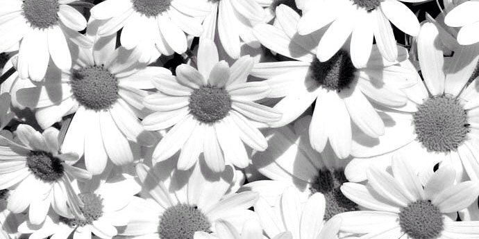 LS_0344's profile banner image