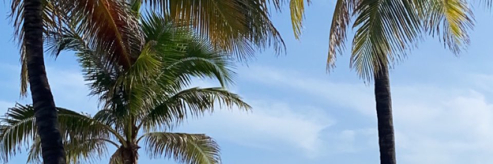 MarcoSierra5's profile banner image