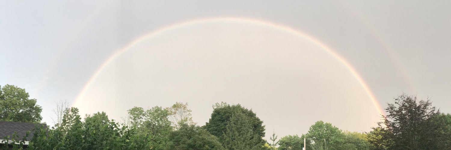 kaylaamedeiross's profile banner image