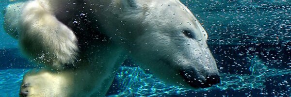 AlStellakis Profile Banner