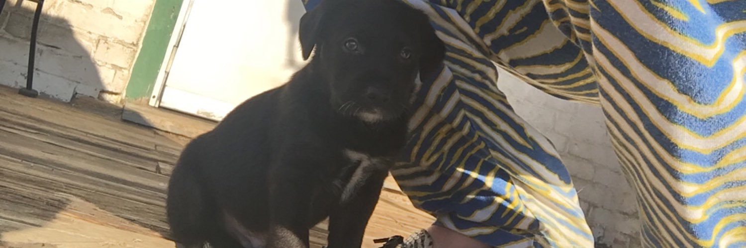 haleyleeanna's profile banner image