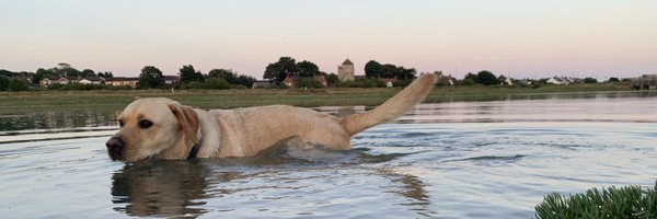 etinton Profile Banner