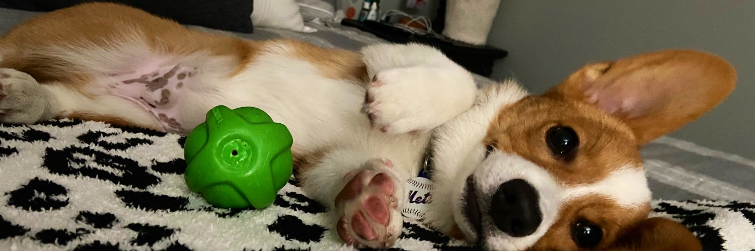 JennaFran08's profile banner image
