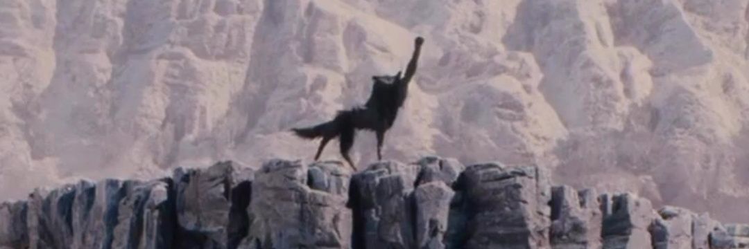 VeraFayad's profile banner image