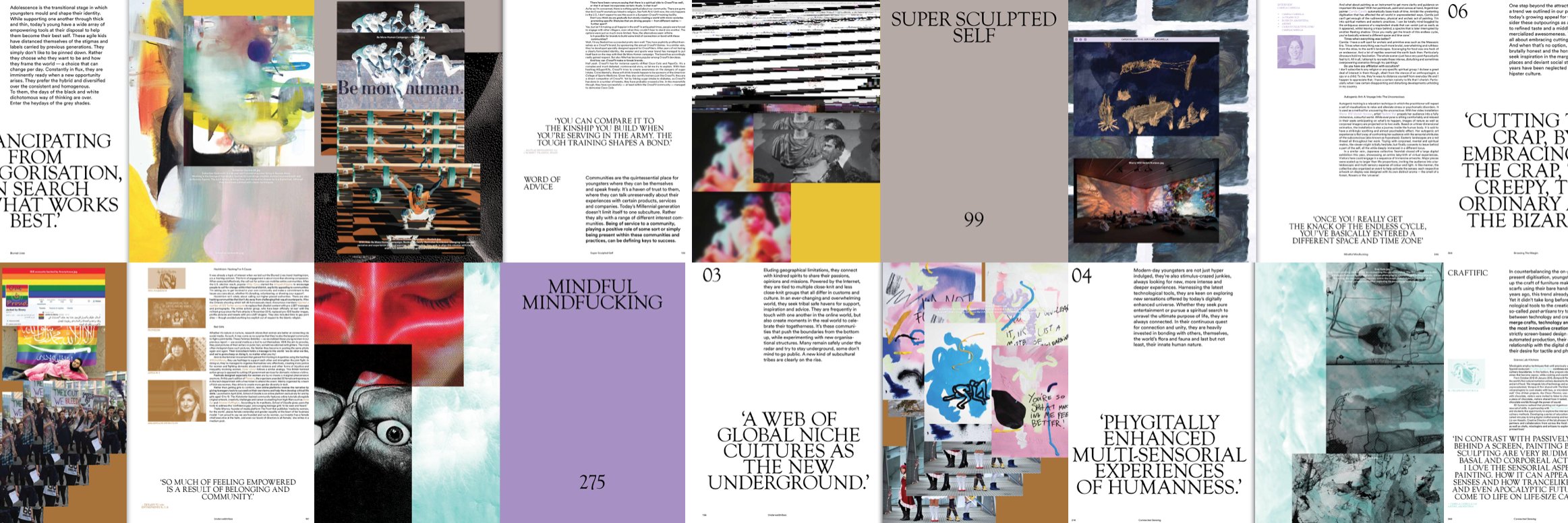 Ellen Anthoni banner