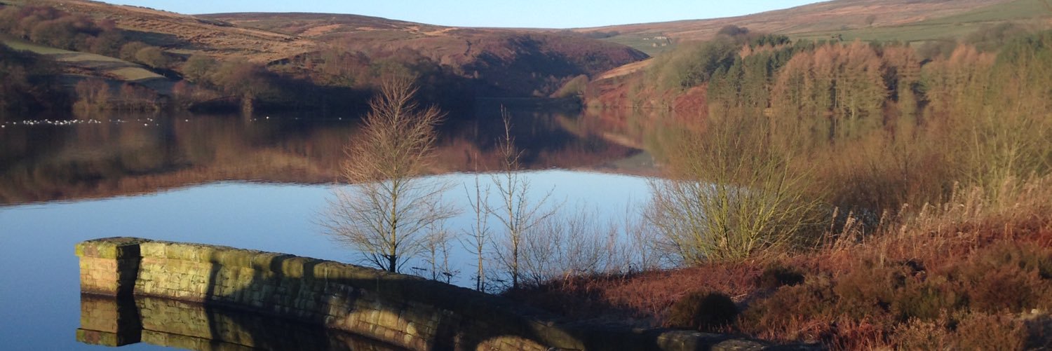 Ritchie Howarth banner