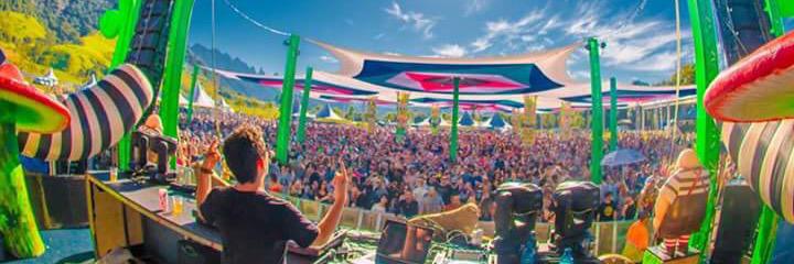 Capital Monkey banner