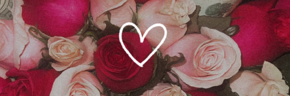 stephh_bx0's profile banner image