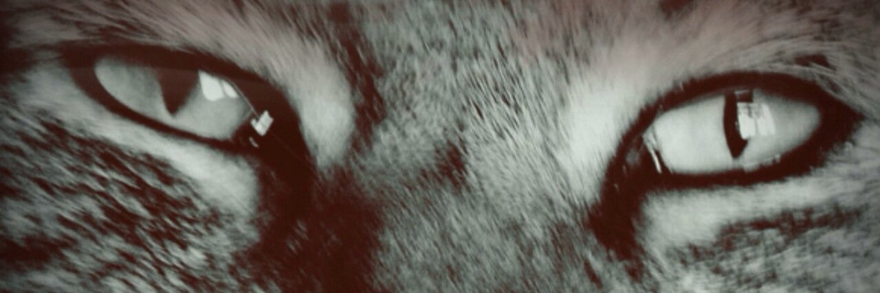 emothomson's profile banner image