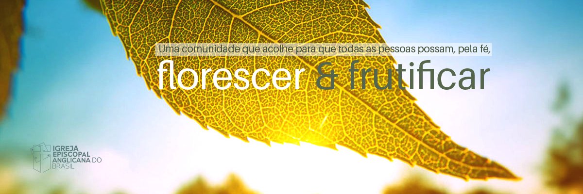 trindademeier's profile banner image