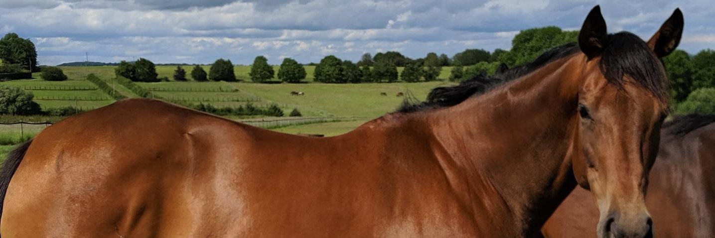 RafeSGarrett's profile banner image