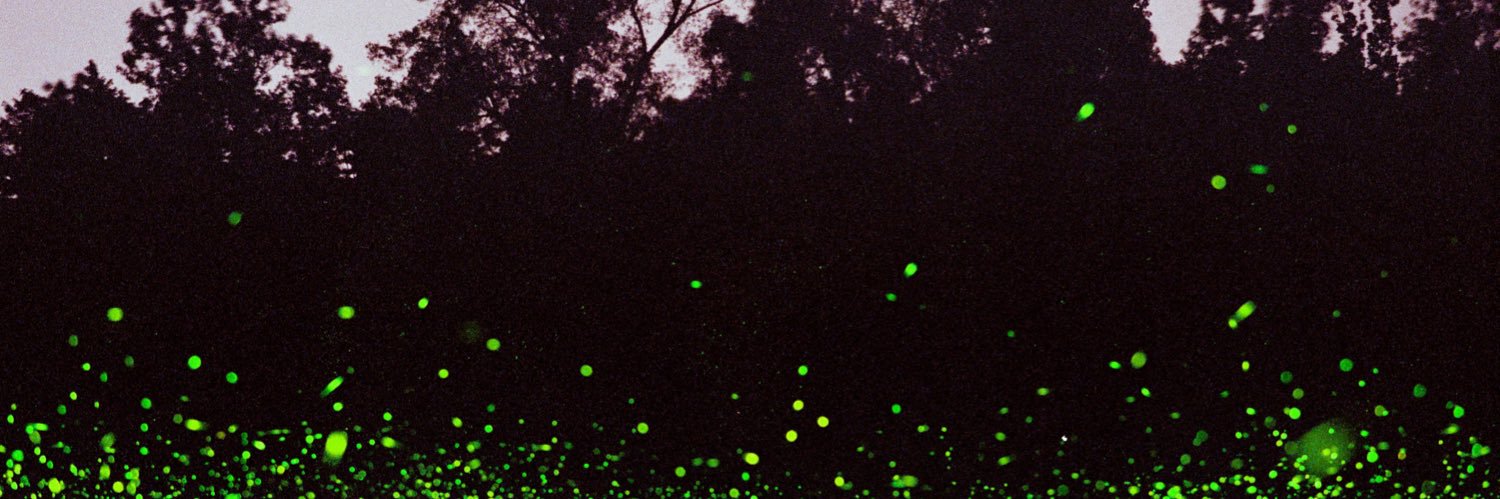 jimmaferd's profile banner image