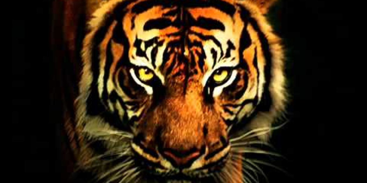 anthonymadrid59's profile banner image